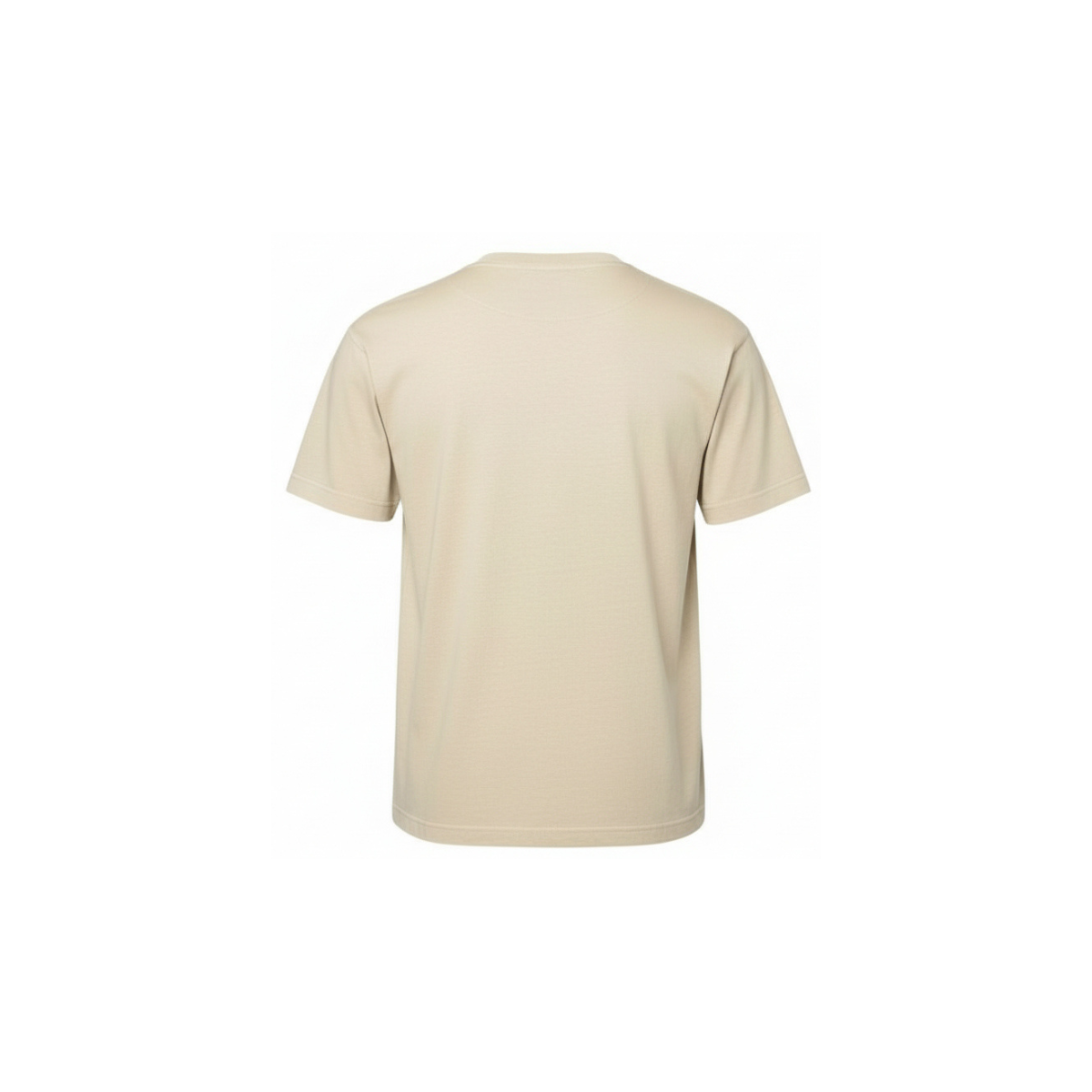 CARHARTT WIP T-SHIRT S/S VISTA