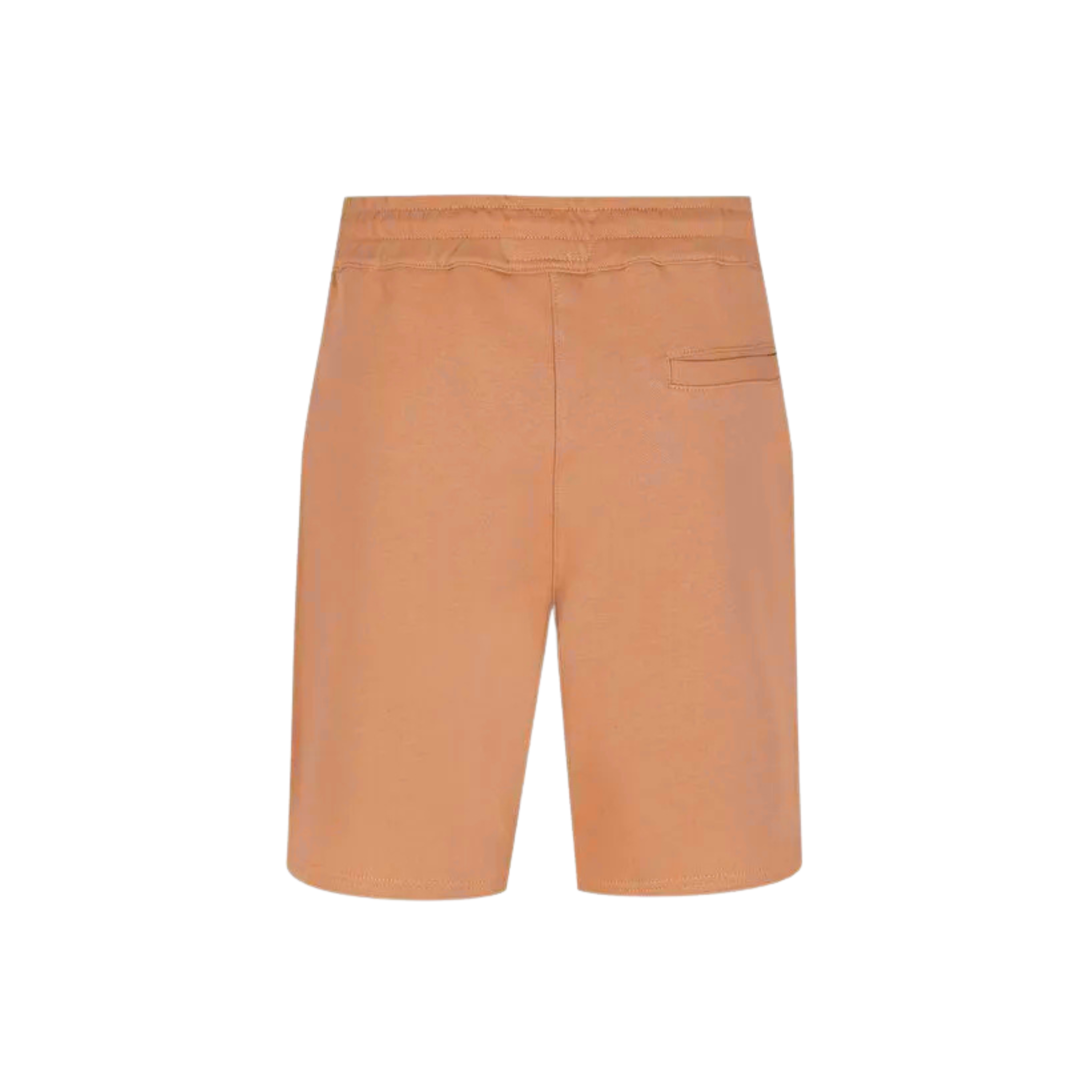 Smooth Shorts orange Sprayground