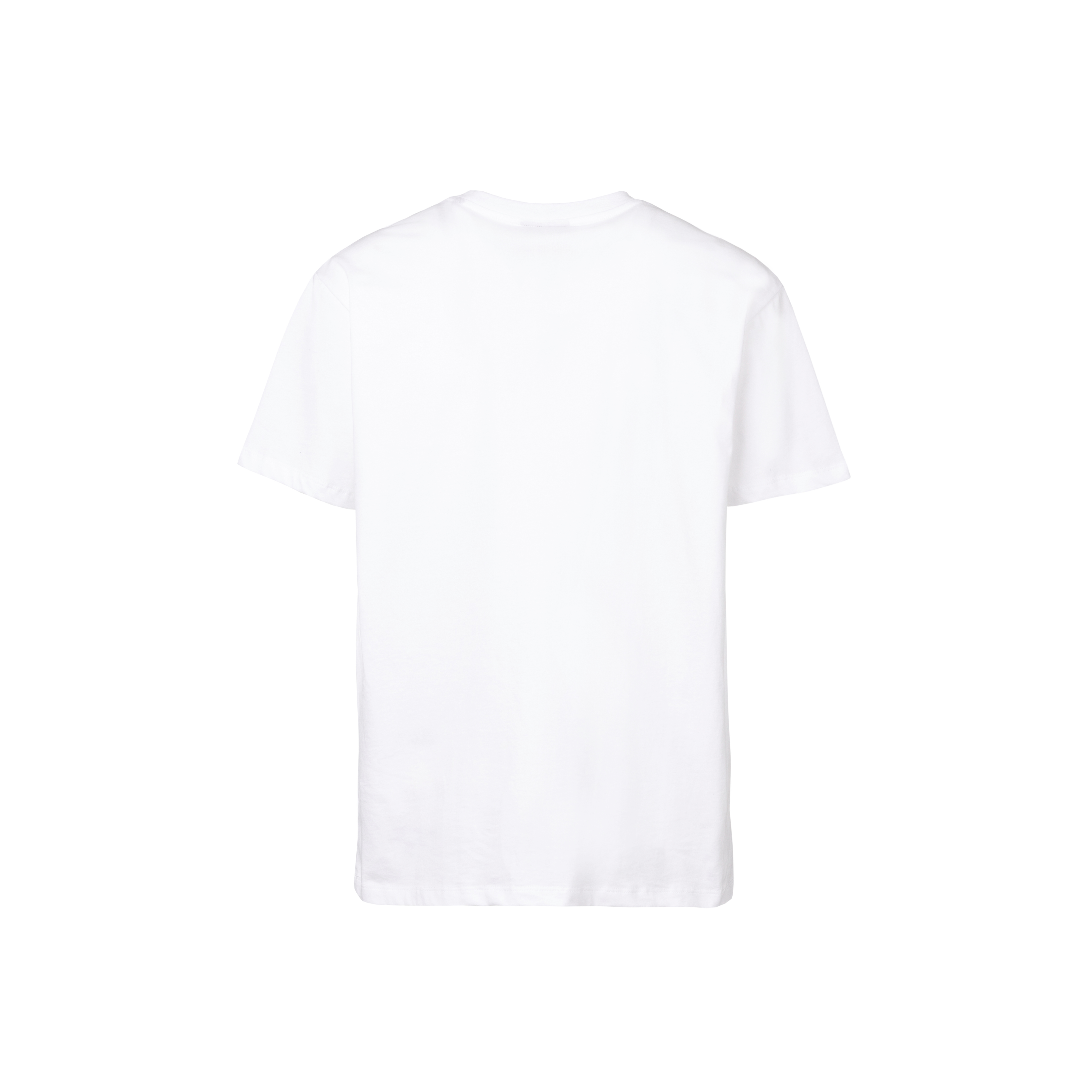 T-shirt climber Mauna Kea